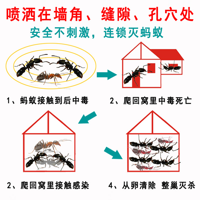 灭蚂蚁药家用室内非无毒全窝端杀蚂蚁神器除蚁清红蚂蚁厨房杀虫剂 - 图1