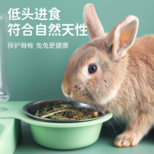 兔子喂食器饮水器二合一荷兰猪喝水食盆食碗食盒水壶笼子宠物用品-图1