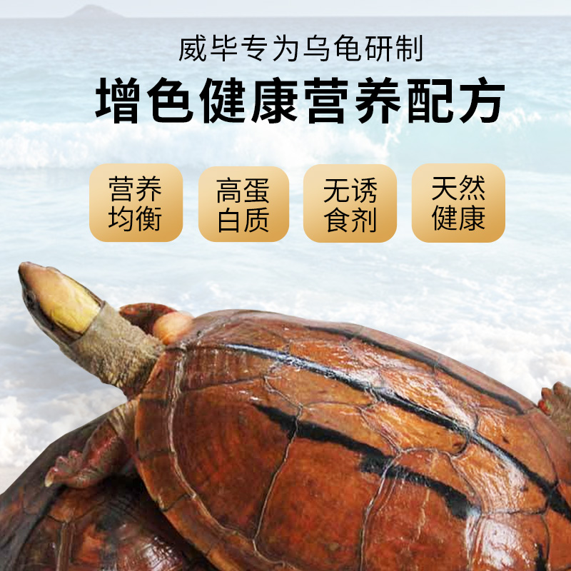 石金钱乌龟饲料粮食小乌龟专用粮越南石龟龟料黄喉拟水龟龟粮食物 - 图2