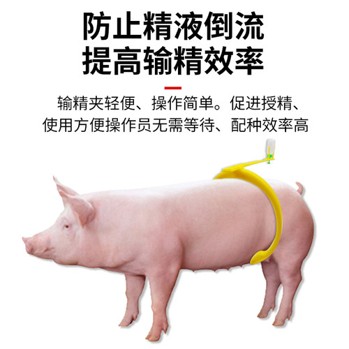 猪用自动输精夹配种架猪夹子支架猪背夹配猪架子养殖母猪配种神器 - 图0