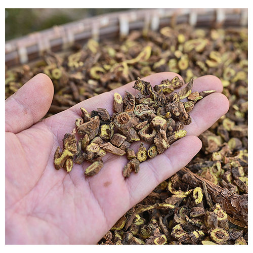 黄芩中药材正品 野生内蒙枯黄芩片500g 药用老枯芩 黄芩片/黄芩粉 - 图1