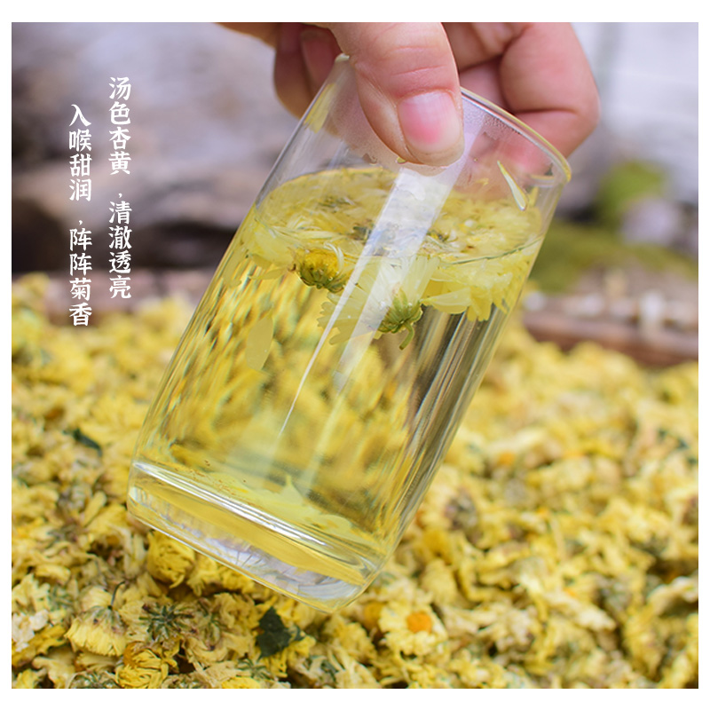 杭白菊特级正品 正宗浙江桐乡杭白菊250g 新货无硫精品头茬朵菊花 - 图1
