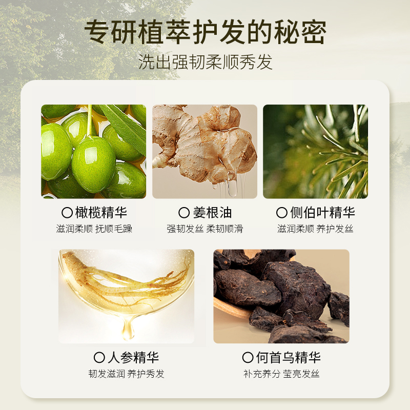 仙维娜植萃菁纯强韧洗发露顺滑蓬松持久留香男女强韧发丝洗发水