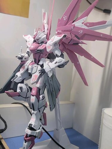 大班MG樱花自由2.0魔改1/100带樱花水贴机甲拼装模型机甲玩具手办 - 图3