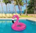 120cm bơm hơi flamingo vòng cung cấp nước gắn phao cứu sinh thiên nga - Cao su nổi