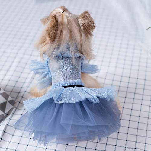 JLSC雾霾蓝宠物蓬蓬裙礼服猫狗衣服小型犬泰迪马尔济斯约克夏裙子 - 图1