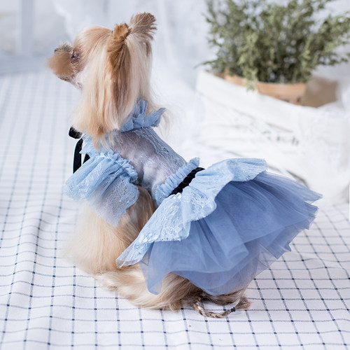 JLSC雾霾蓝宠物蓬蓬裙礼服猫狗衣服小型犬泰迪马尔济斯约克夏裙子 - 图0