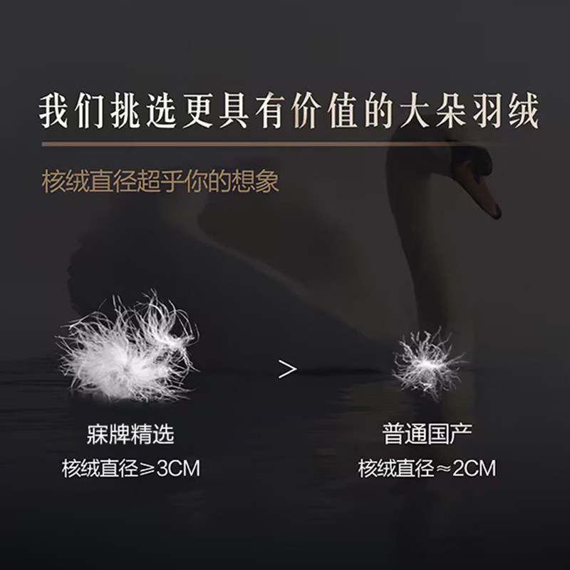 MINE/寐羽绒枕95法国雁鸭绒可折叠便携U型枕魔术毯靠枕盖毯二合一,淘宝优惠券,粉丝福利购,淘宝优惠卷