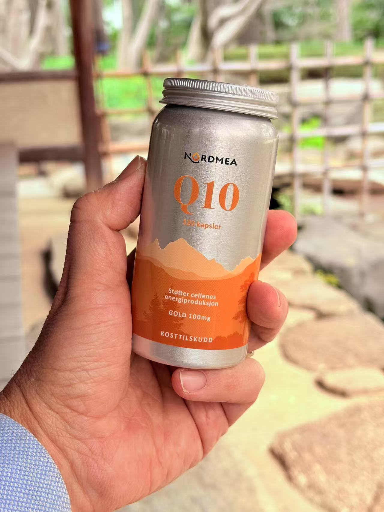 挪威海豹油 原装挪美NORDMEA OMEGA3DHA EPA养护心脑净化血管新品,淘宝优惠券,粉丝福利购,淘宝优惠卷