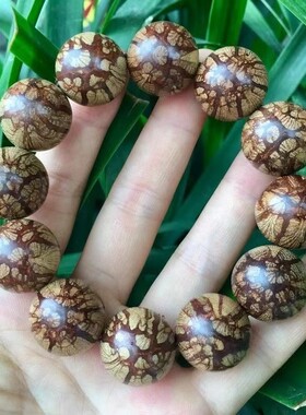 源头正宗龙须藤梅花入骨丹手串佛