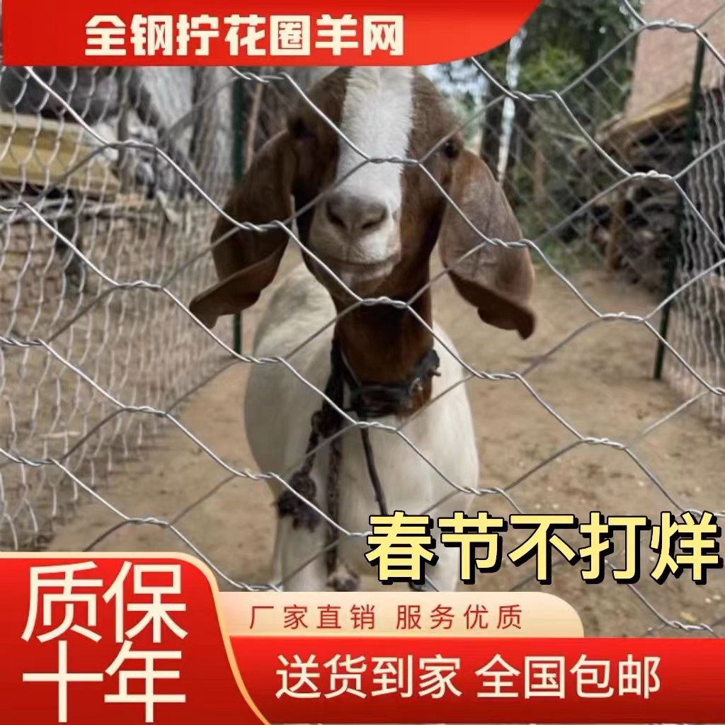 镀锌铁丝网围栏护栏养殖圈牛羊狗猪鸡鸭防护钢丝网隔离护坡六角网-图0