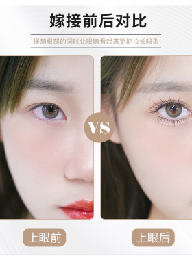纤维自然纤长邹秀美睫