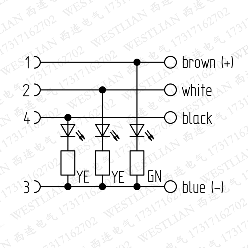 lumberg德国隆堡M12双头带灯连接器线RST4-RKWT LED P4-225/1,5M-图0