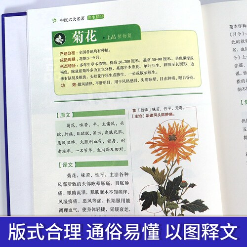 中医书籍大全中医六大名著全6册黄帝内经全集正版本草纲目原版全套中医基础理论皇帝内经中医正版金匮要略伤寒论 张仲景正版医学类 - 图2