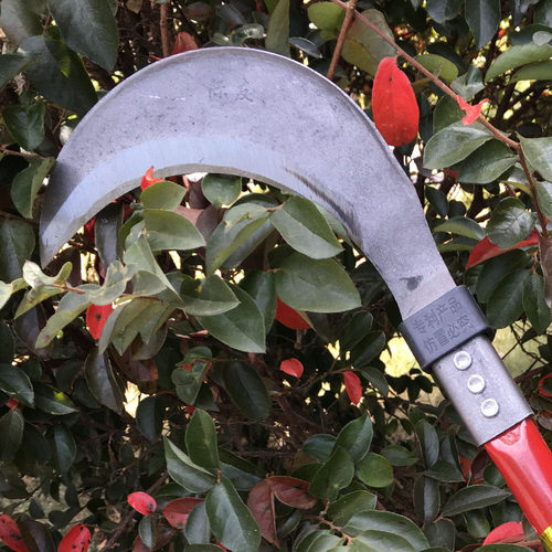 农用工具65锰钢镰刀户外割草刀砍割两用长柄廉刀加厚弯刀收割玉米 - 图1
