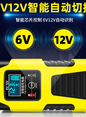 摩托车电瓶充电器6v12v伏踏板