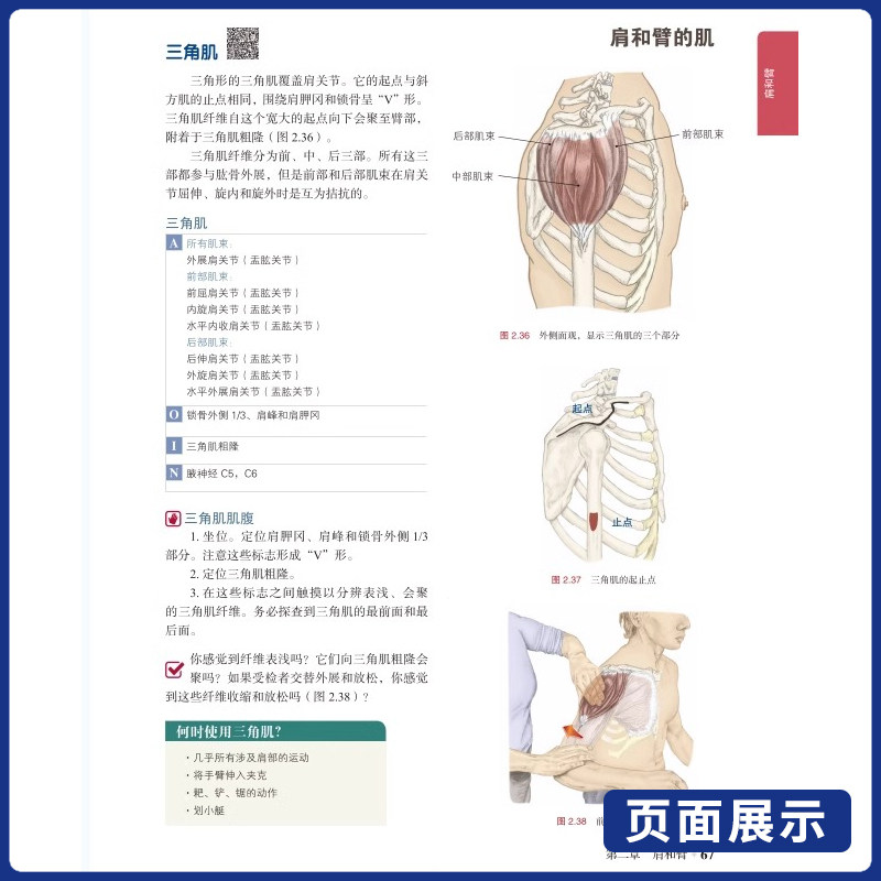 推拿按摩的解剖学基础 第6版 丁自海 51个推拿按摩视频教程手法小儿按摩推拿书 山东科学技术出版社9787572318719