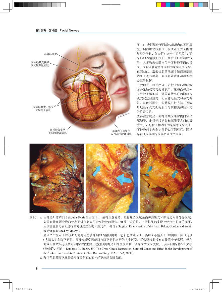 正版面部危险区美容手术治疗风险的 医医图书外科学