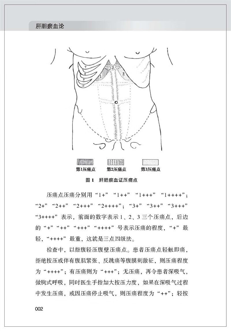 正版肝胆瘀血论孙树旺的定义孙光源 医医图书中医