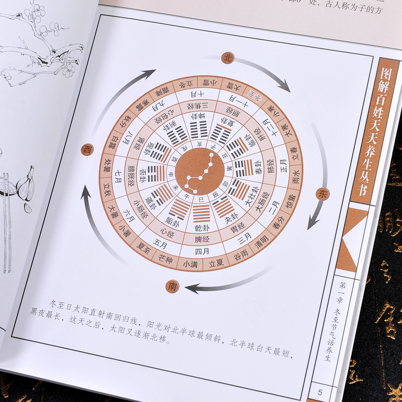 正版 健康顺时生活：冬至小寒大寒篇 天津科学技术出版社9787557689650 王洪磊 调和五脏顺应天时