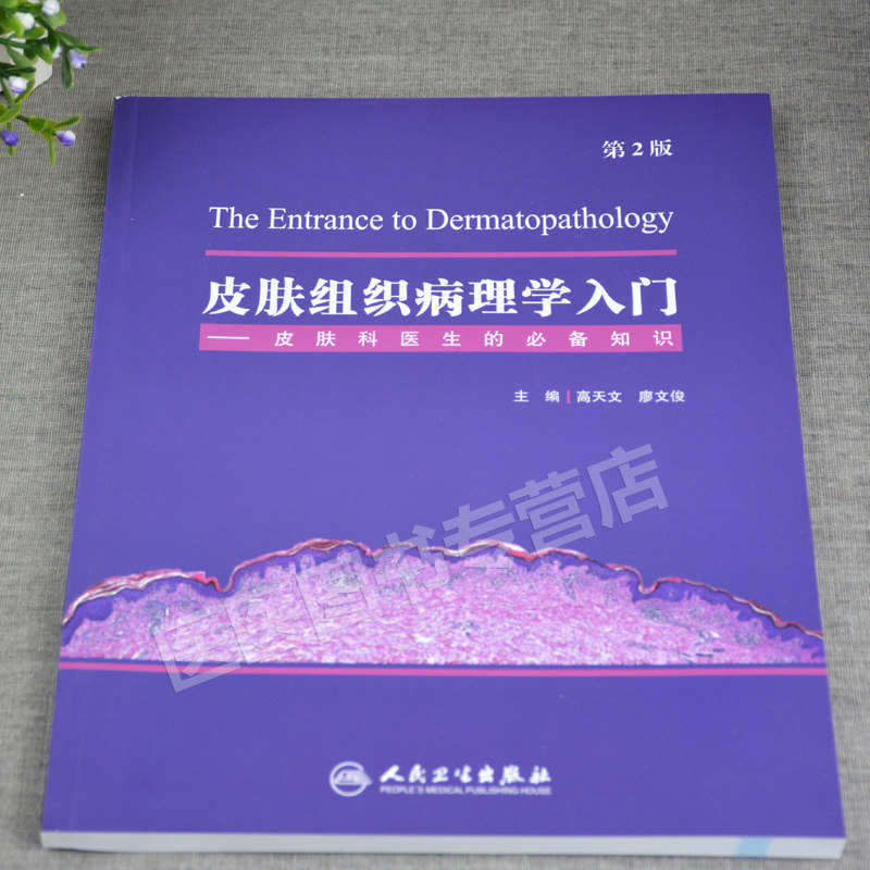 正版皮肤组织病理学入门皮肤科书籍 医医图书皮肤病学/性病学