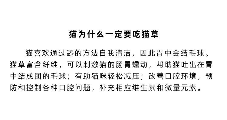 猫薄荷草种盆栽籽小麦种子孑大麦苗水培盆栽无土栽培种植盆育苗盘 - 图1