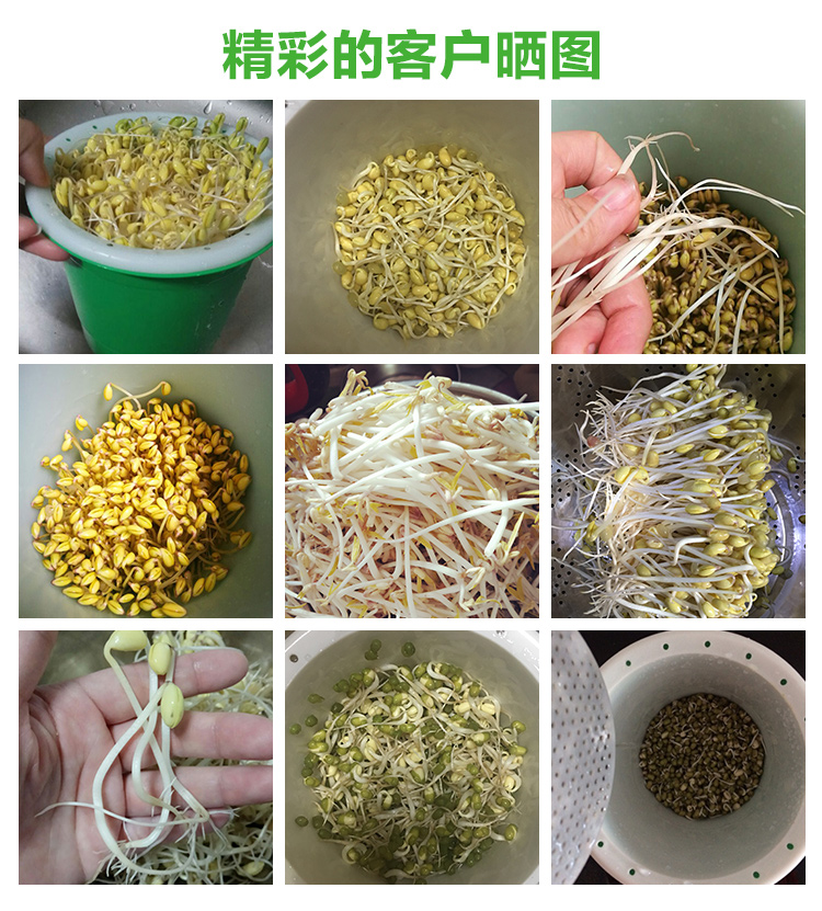 生豆芽罐盆家用发豆芽机种植桶自制苗菜麦饭石绿豆黄豆全自动神器 - 图1