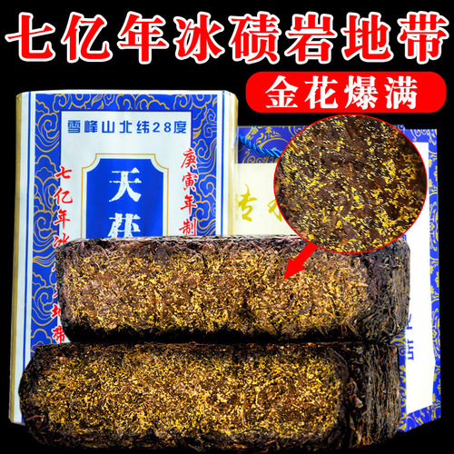 安化黑茶特级金花茯砖茶正宗陈年老黑茶正品湖南黑茶天尖茶叶1kg - 图0
