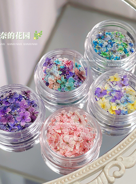 卡妞美甲干花ins风莫奈花园素材