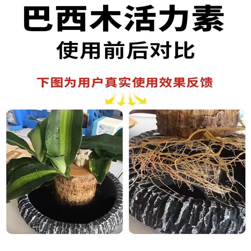 巴西木营养液发芽专用生根催芽液水培专用肥生长缓慢植物活力素-图1