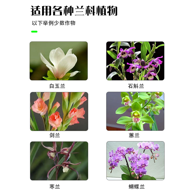 兰灵王兰花专用肥蝴蝶兰菌群君子兰陵王兰科em菌营养液肥料活化剂 - 图3