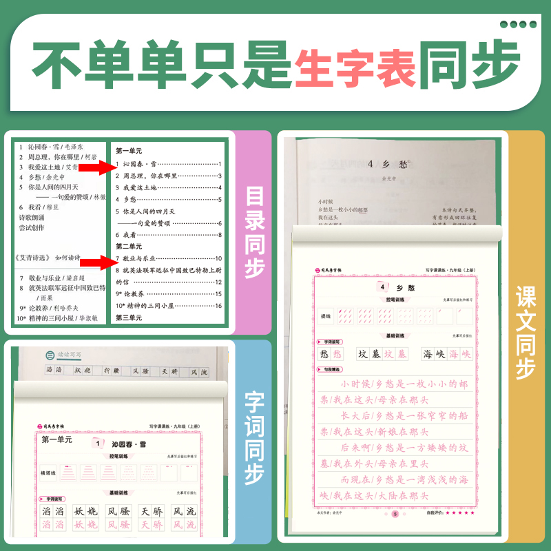 2023秋司马彦写字课课练九年级上册语文人教版初中生9年级初三练字帖语文部编版同步写字钢笔字硬笔楷书临摹字帖初三练字-图1