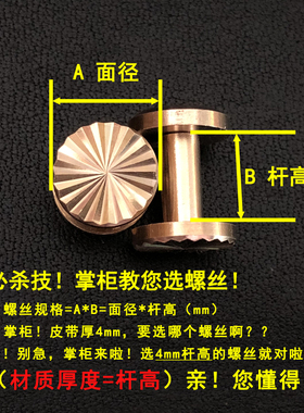 顺记五金炫酷纯铜螺丝皮具新品