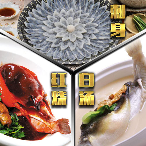 小河豚鱼食用已处理肉肝皮没毒新鲜活体现杀冷冻500g酒店特色食材 - 图2