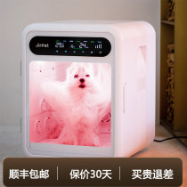 Jirpet Pet Drying Box F1 Kitty Fully Automatic Dryer Dog Suction Hair Dryer Bath with blown water machine