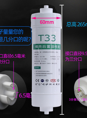 3分口椰壳净水器纯水机后置