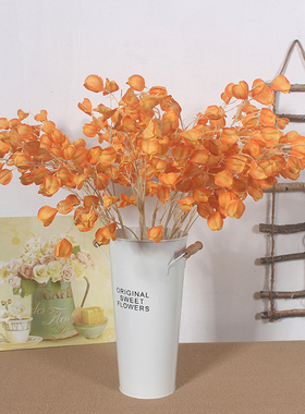 灯笼果仿真花假花装饰花