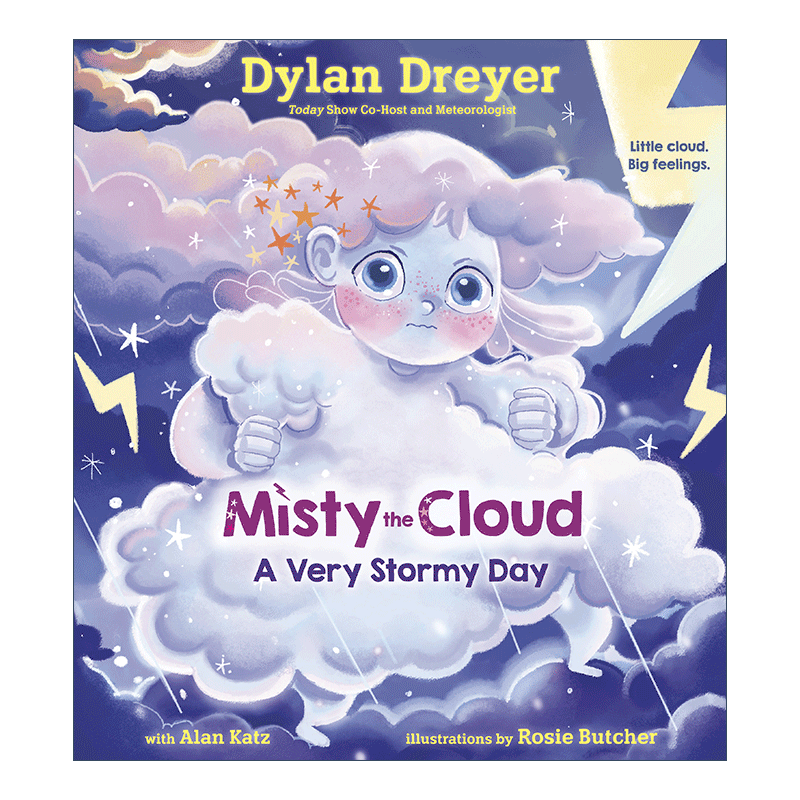 英文原版 Misty the Cloud A Very Stormy Day云朵米斯蒂暴风雨的一天幼儿儿童启蒙认知绘本情绪调节管理早教精装进口英语书-图0