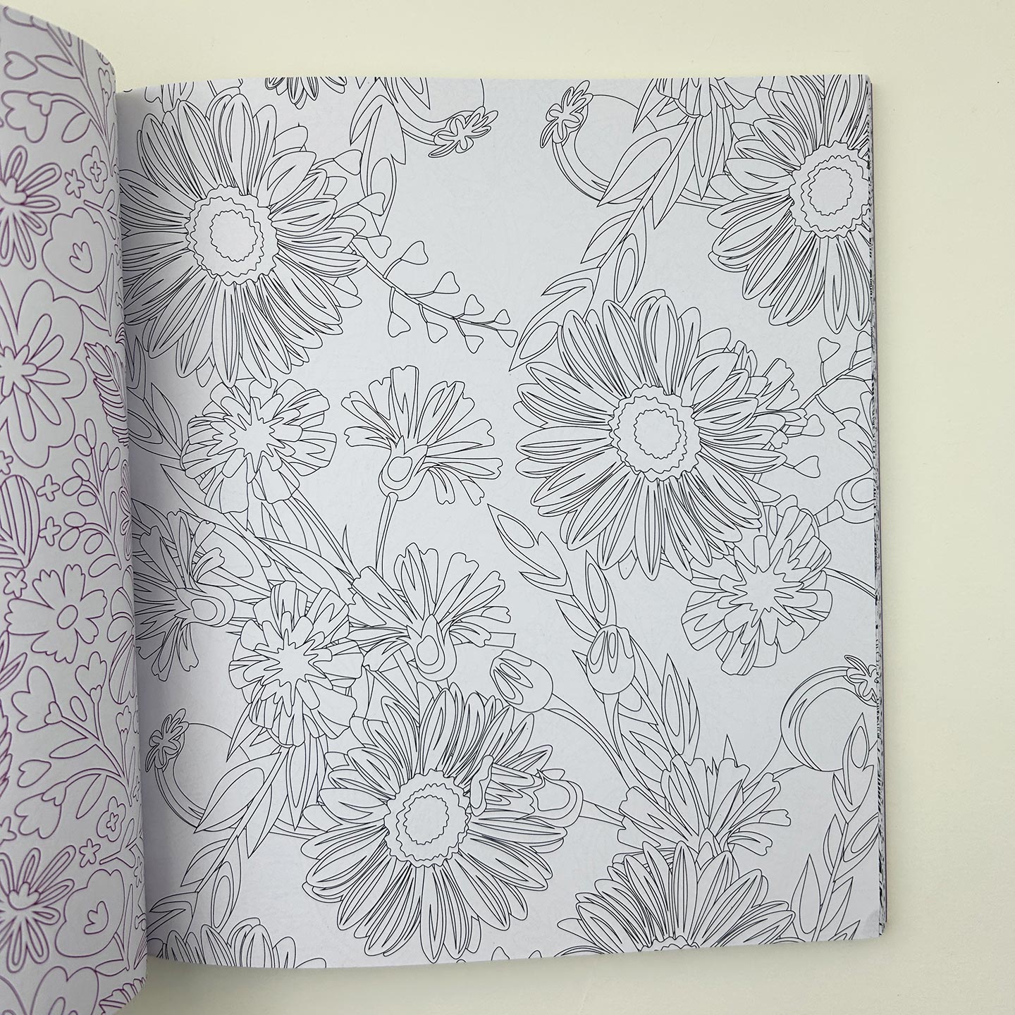 英文原版 Beautiful Blooms A Coloring Book of Flowers 7 美丽的花朵 花朵艺术绘画涂色 英文版 进口英语原版书籍