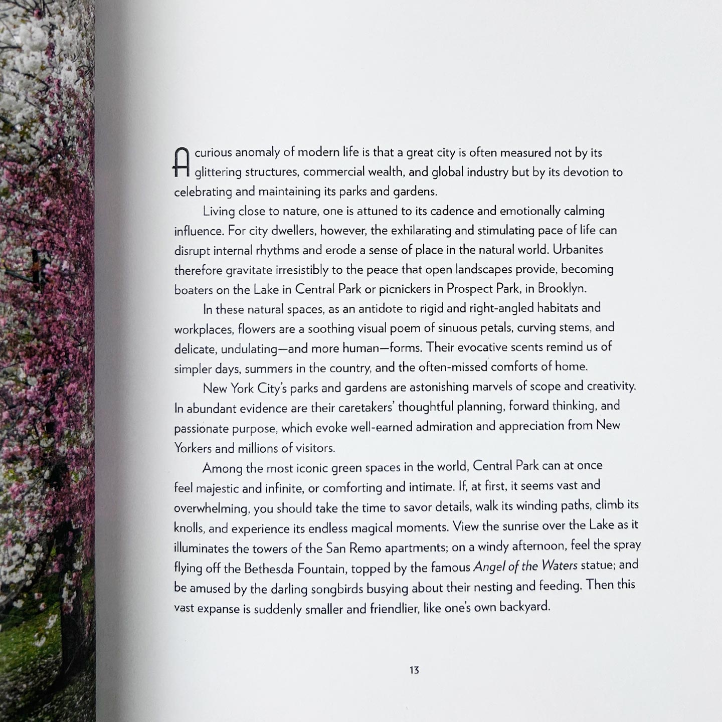 英文原版 New York in Bloom 盛放的的纽约 城市花卉之旅 旅游指南 精装摄影艺术图册 Georgianna Lane 英文版 进口英语原版书籍