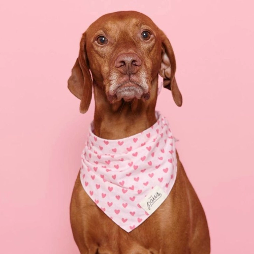 Слюнявчик, импортный шарф, нагрудник