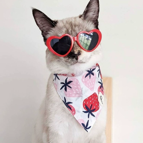 Слюнявчик, импортный шарф, нагрудник