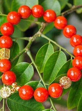 精品川料南红手串满肉满色无杂裂性价比很高的一条18K金扎基拉姆