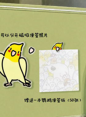 会咬照片便签的鹦鹉卡通磁吸冰箱贴可爱治愈装饰品