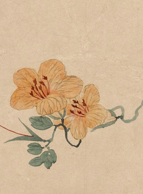 汪士慎 花卉图册十二开清代小品图艺术微喷打印绢本画心临摹范本