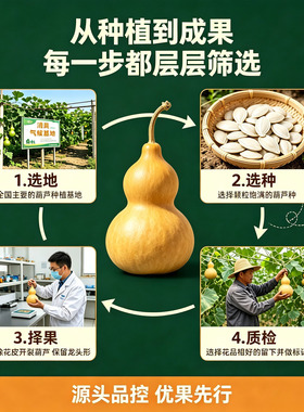 天然葫芦挂件客厅玄关摆件福禄