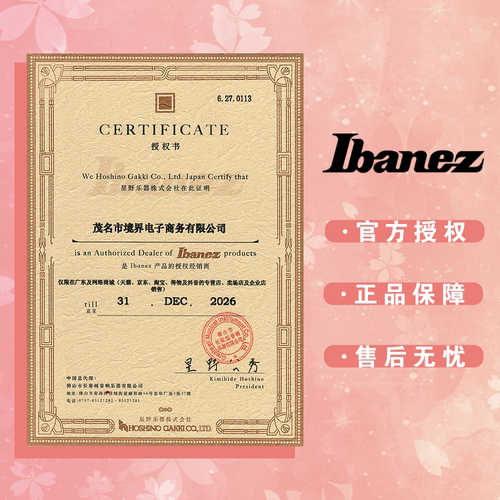 Ibanez 国产AZ 依班娜  Standard 系列 AZ22S1F AZ24S1F 电吉他 - 图3