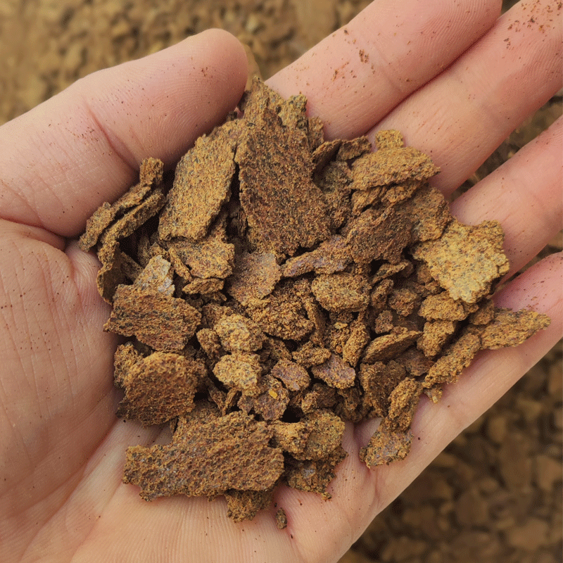 菜籽饼油菜子饼农家现榨油枯饼钓鱼打窝料鱼饵种菜种花有机肥包邮,淘宝优惠券,粉丝福利购,淘宝优惠卷