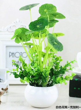 仿真小荷叶花盆栽植物绿植装饰品