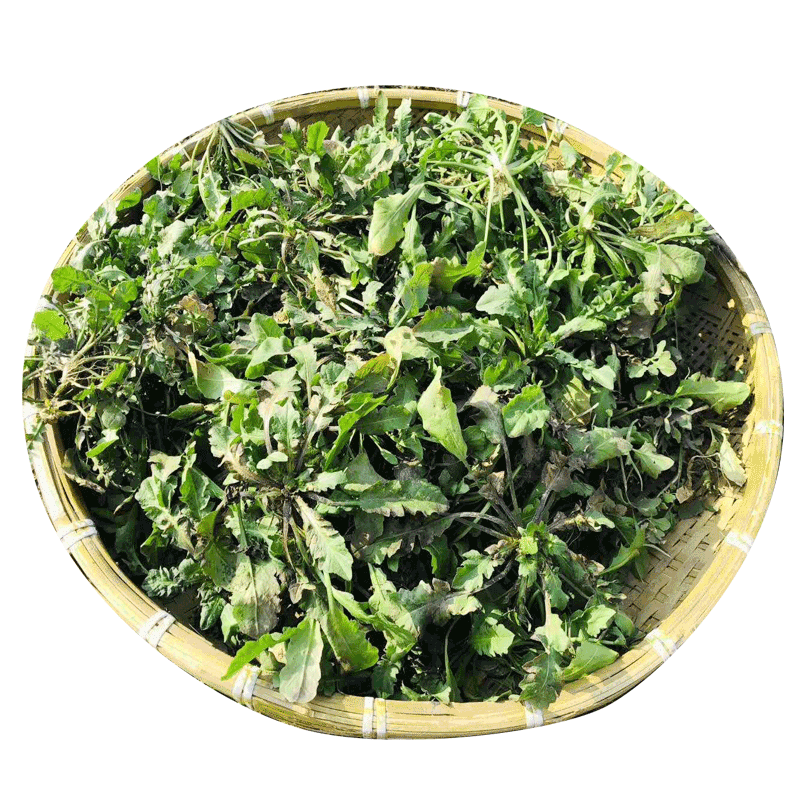 冷冻荠菜野菜新鲜包邮速冻荠菜野生荠荠菜商用整棵荠菜现挖地丁菜-图2